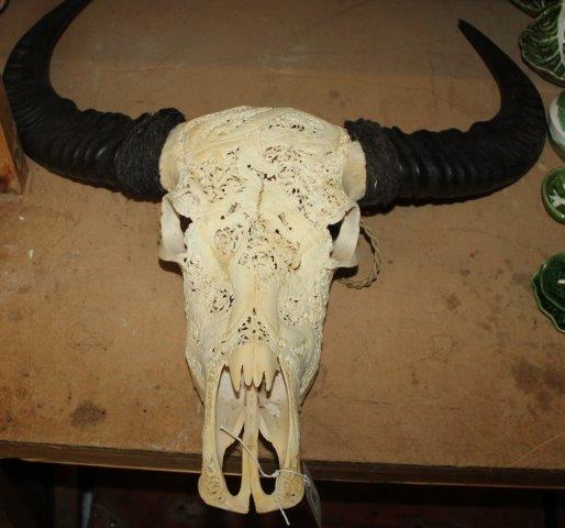 Carved buffalo skull with 3 Chinese dragons